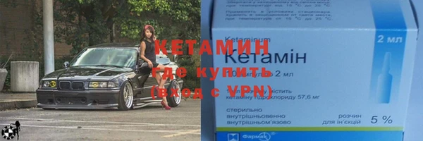 соль ск Новозыбков