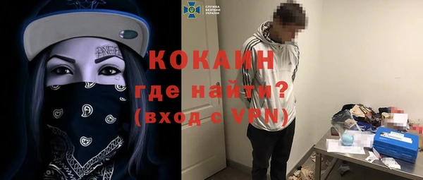 соль ск Новозыбков