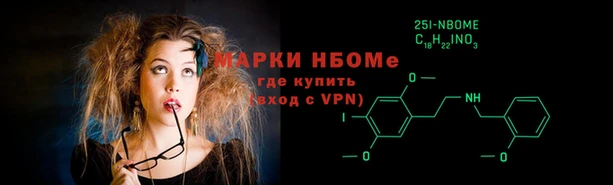 соль ск Новозыбков