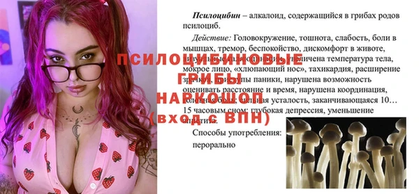 таблы Новодвинск