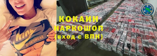 соль ск Новозыбков