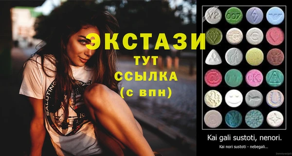 соль ск Новозыбков