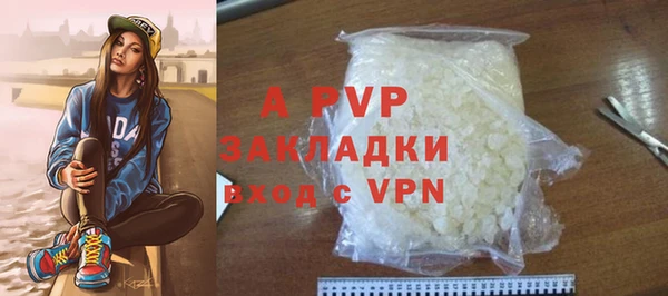 соль ск Новозыбков