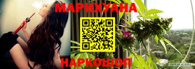 мдпв Ипатово