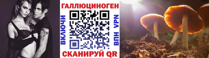 Галлюциногенные грибы мухоморы  кракен tor  Благовещенск 