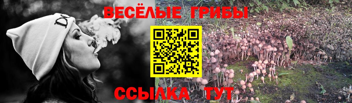 Псилоцибиновые грибы Magic Shrooms Благовещенск