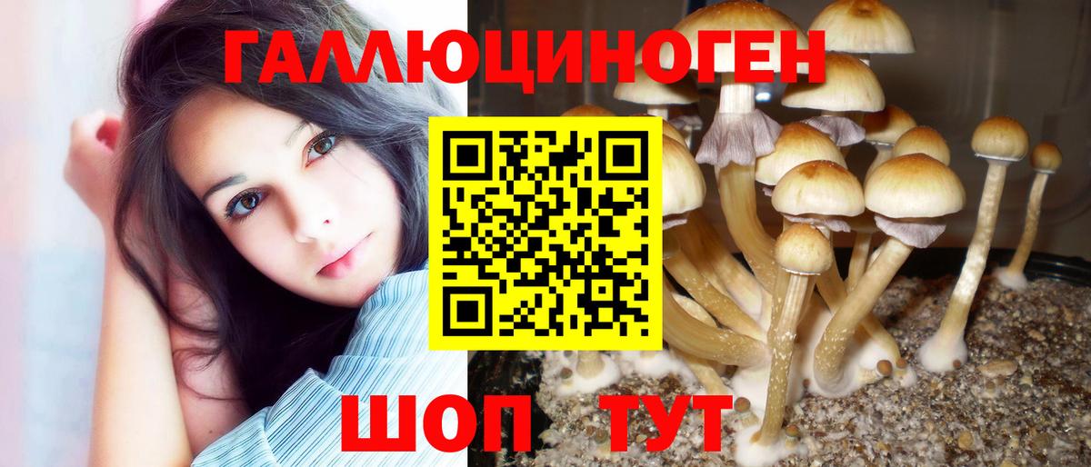 Псилоцибиновые грибы Psilocybe  Галлюциногенные грибы Magic Shrooms  Благовещенск 