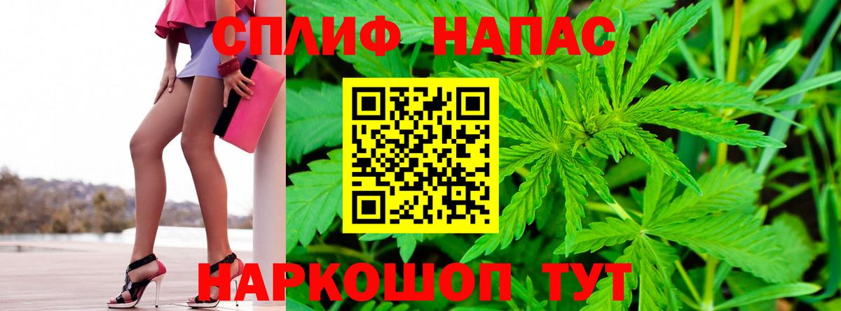 Конопля гибрид Благовещенск